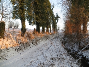 2013-01 16 Erwetegem 022