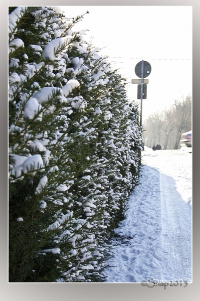 sized__MG_4303 kopie