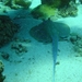 DSC02490
