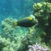 DSC02517