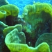 DSC02541