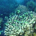 DSC02555