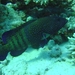 DSC02574