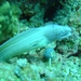 DSC02601