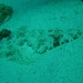 DSC02626