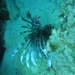 DSC02646