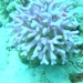 DSC02674