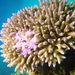 DSC02708