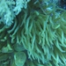 DSC02405