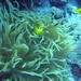 DSC02407