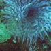 DSC02423