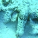 DSC04315