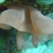DSC04348