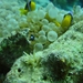 DSC04370