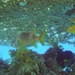 DSC04412