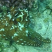 DSC04461