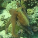 DSC04459