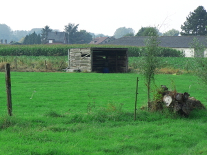 Een rustig stalletje