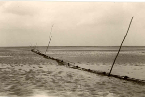 de netten van de botschudders van de Paal jaren '60