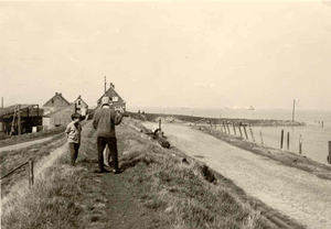 Scheldezicht  vanop de dijk