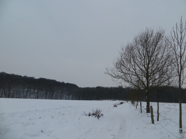 2013-01 19 Kluisbergen 007