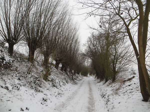 2013-01 19 Kluisbergen 025