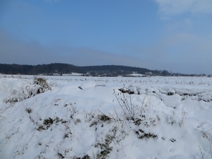 2013-01 19 Kluisbergen 028