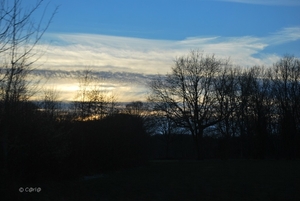 2013-01-12 Feestje oma uil (128)