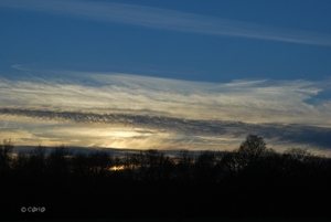 2013-01-12 Feestje oma uil (129)