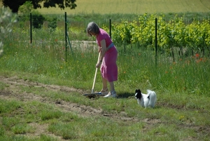 Lydia in de hof