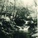 PICT0041