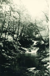 PICT0041