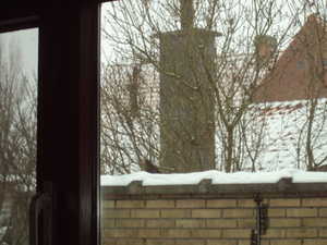 winterpret 002