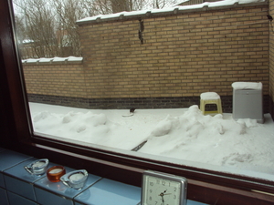 winterpret 003