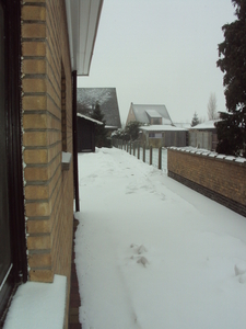 winterpret 004