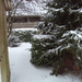 sneeuw 004