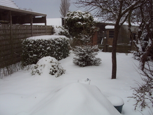 sneeuw 007