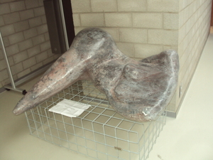 whouthulst 006