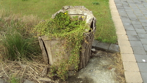 whouthulst 012