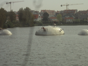 w KNOKKE 003