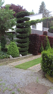 wLUMMEN 009