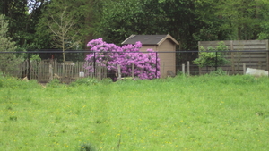 wLUMMEN 010