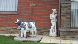 w IEPER 007
