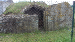 w IEPER 010