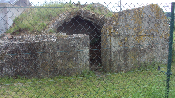 w IEPER 010