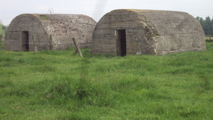 w IEPER 013