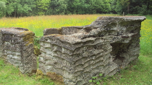 w IEPER 016