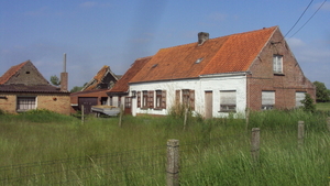 wOOSTKAMP 005