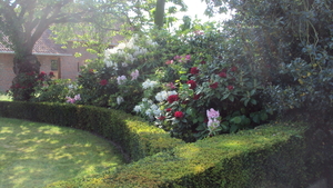 wOOSTKAMP 008