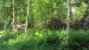 wOOSTKAMP 011